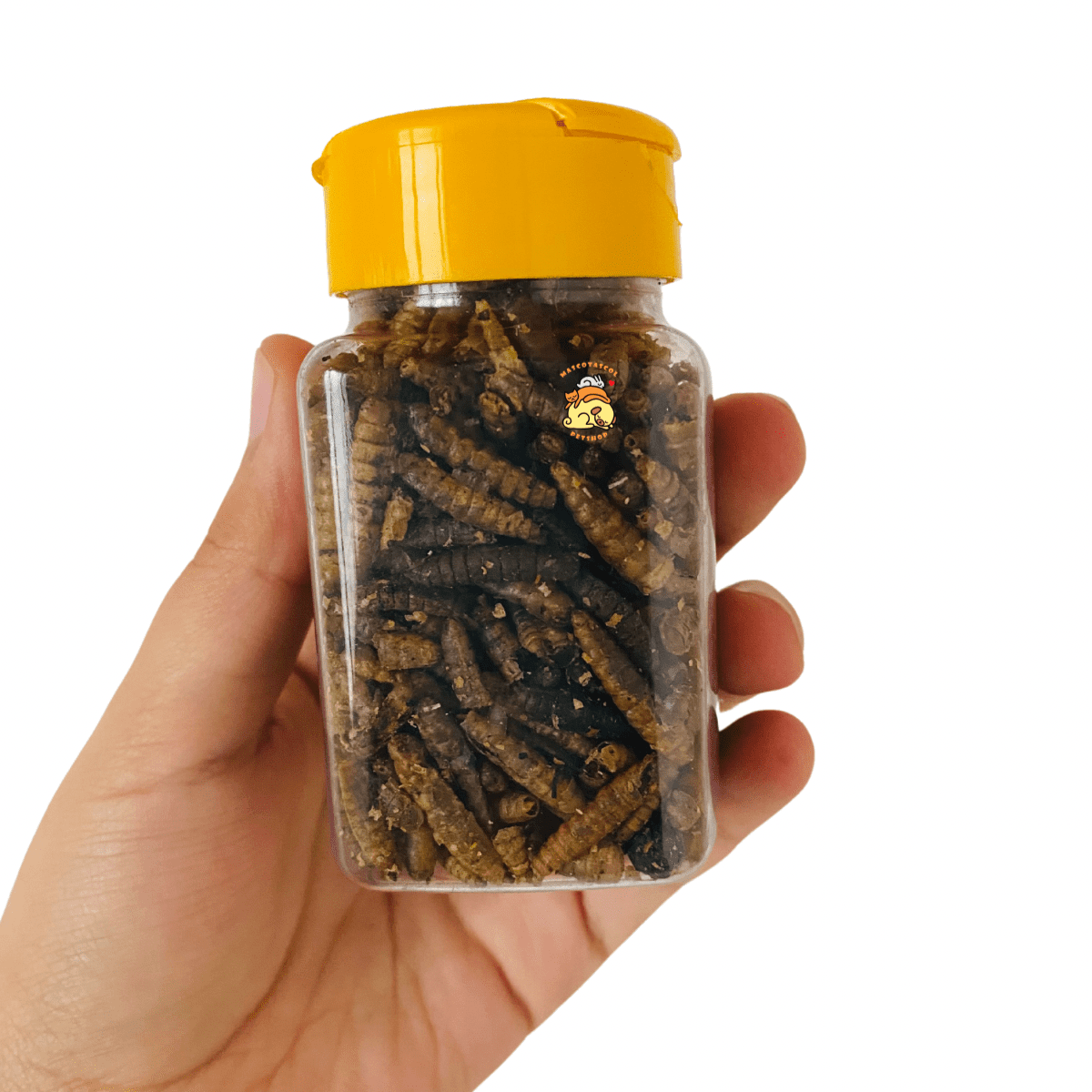 Tenebrios para hamster gusanos para hamster, tenebrios deshidratados hamster