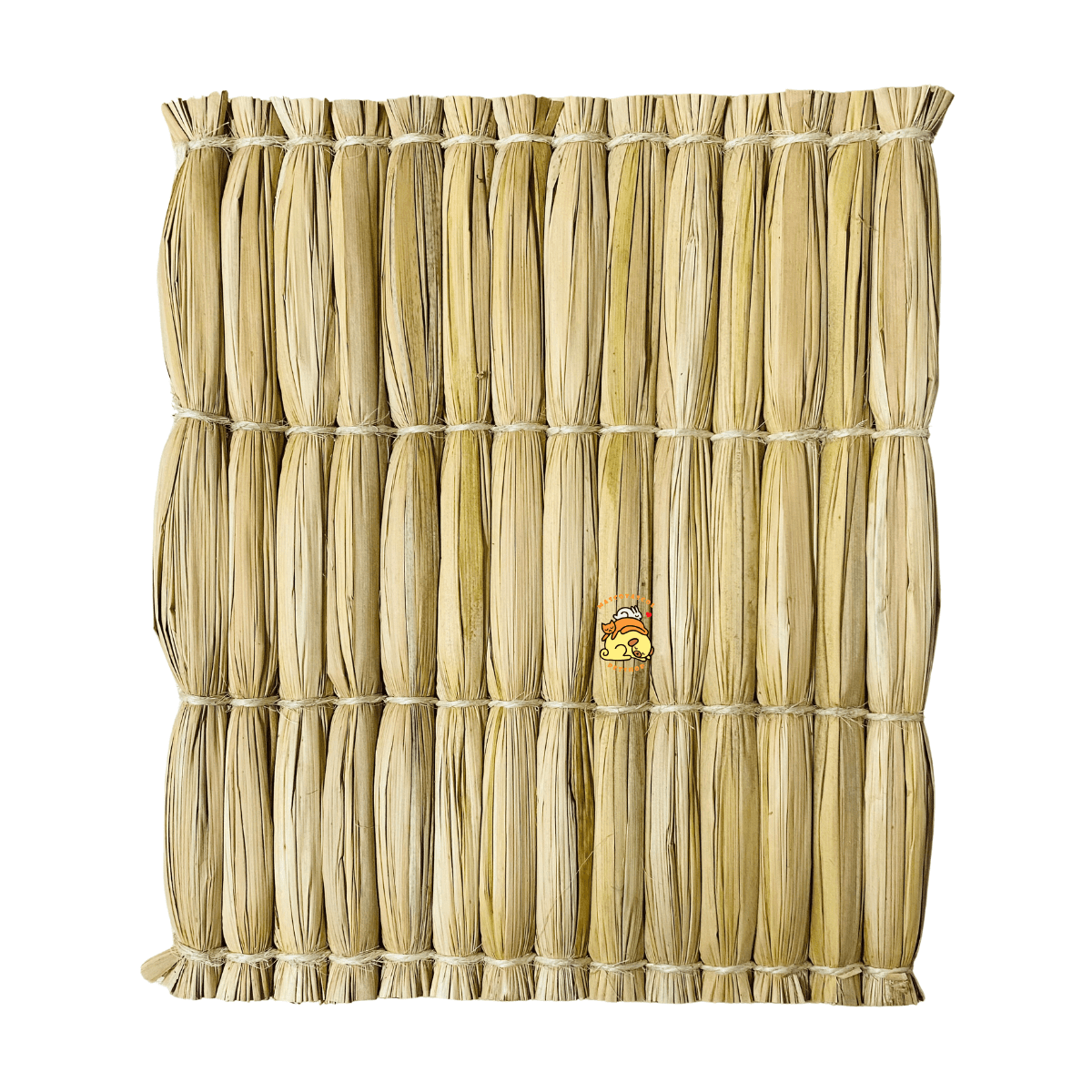 ayude desgaste dental mascotas